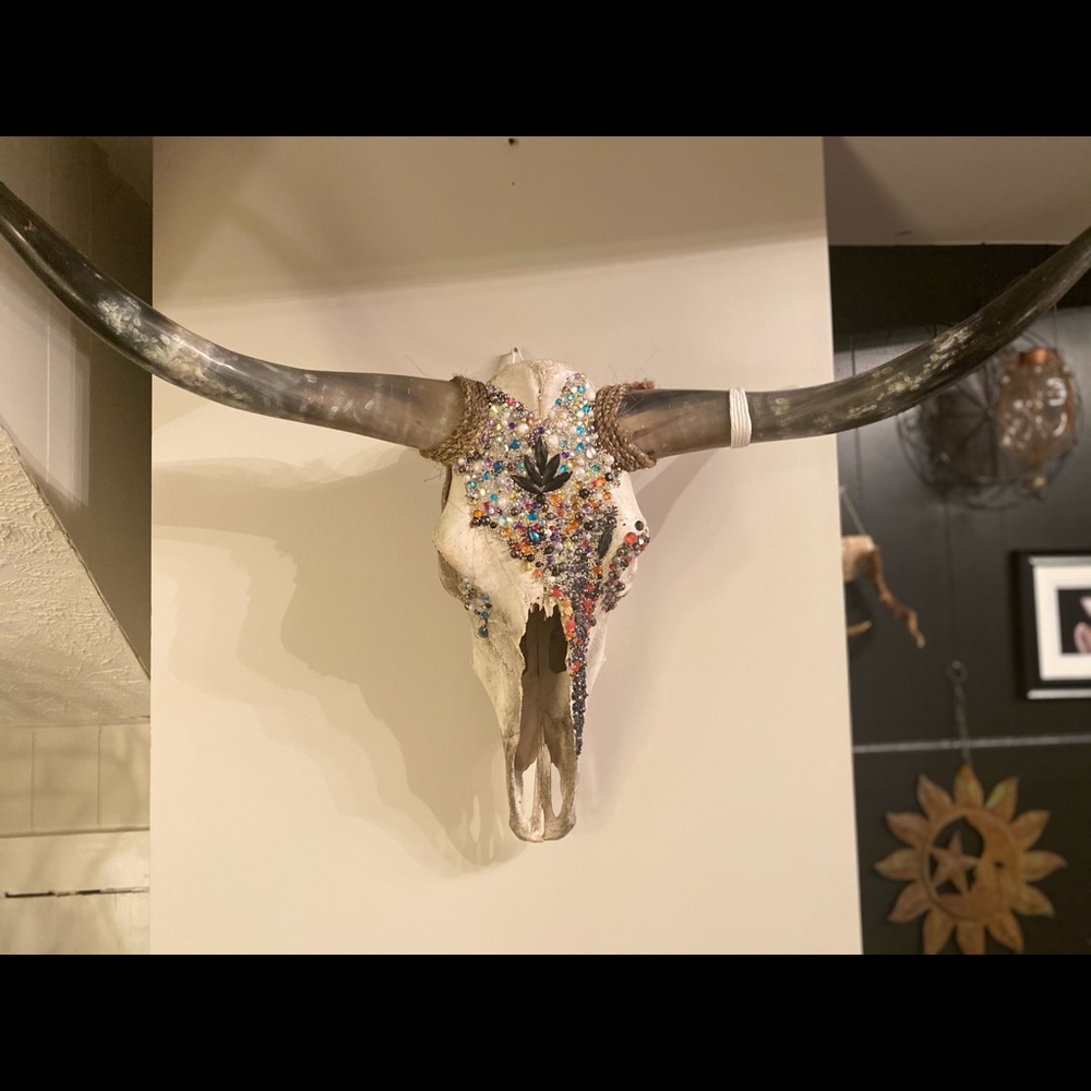 Bedazzled Texas Longhorn Skull